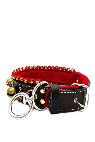 Tasma Market Koyu Kahverengi 4 Zilli Keçeli Deri Köpek Tasması