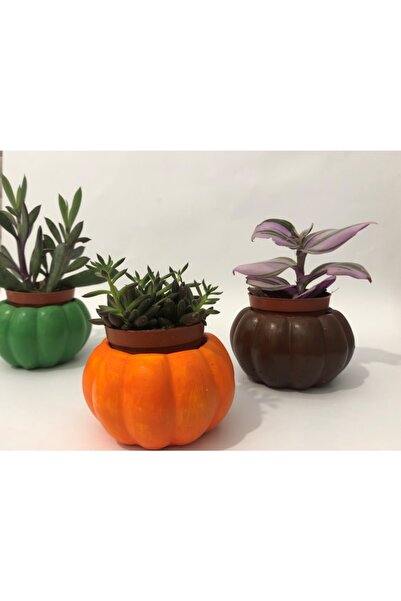 collection77 3'lü Bal Kabak Tasarımlı Mini Dekoratif Beton Saksı