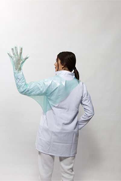 GlobalVet قفازات المستقيم قفازات بيطرية مع حماية الكتف 50 قطعة باللون الأخضر