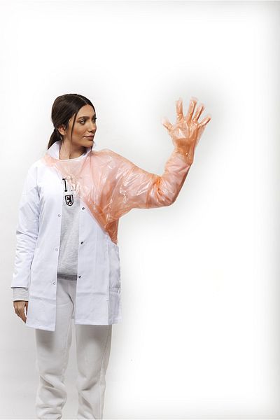 GlobalVet Rectal Gloves Veterinary Gloves with Shoulder Protection 50 Pack Orange