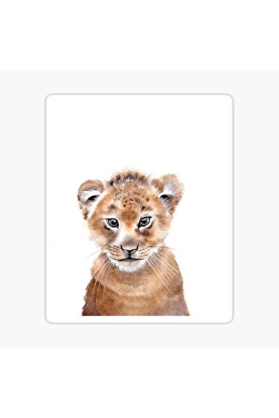 TSC Little Baby Lion Car Auto Sticker Sticker Colorful W2