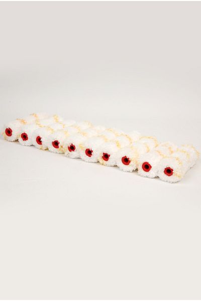 FırsatYapıMarket Finger Polyamide Roll Spare 100 Pieces