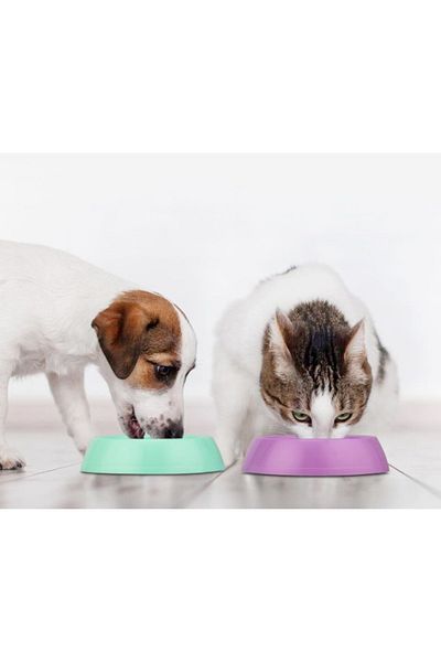 Petkit Mikopet Small Round Food Container