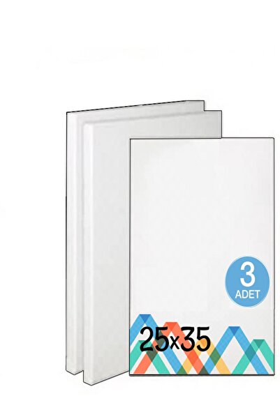NEON PLUS Tuval 25x35 Ekonomik Astarlı 3 Adet
