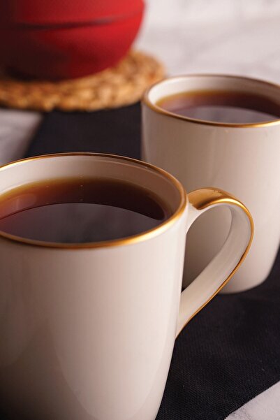 Emr züccaciye Emr Fine Porcelain Mug -2 Pcs Mug