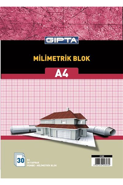 Gıpta Millimetric Wire Stitching Bristol Covered Block Pink (a4) 30 Sheets