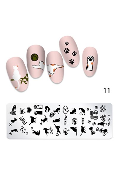 Beauty Box Kedi Pati Stampa Plakası Tırnak Stampası Stamper Tırnak Süsleme Ba...