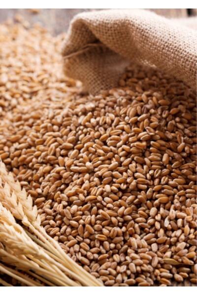 Genel Markalar 5 Kg Yemlik Buğday / Kuş Tavuk Kaz Ördek Yemi, %100 Doğal