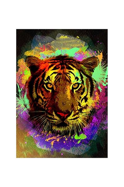 Art Puzzle Claw 500 Pieces