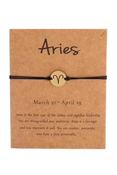 Atölye Eliz Steel Zodiac Bracelet-Aries