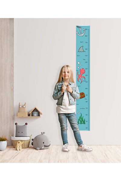 fotoev مسطرة قياس الارتفاع 21x160