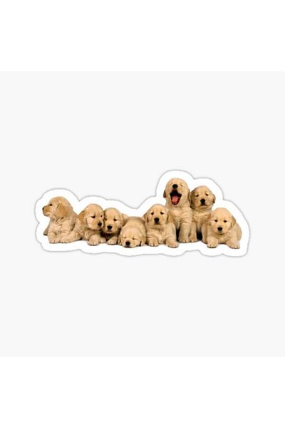 TSC Autocolant Golden Puppy Dog Auto Auto Pastă 17cm A8