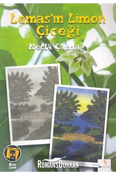 Bu Yayınevi Lemas’ın Limon Çiçeği