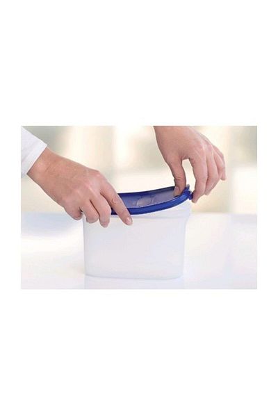 Tupperware Oval Storage Container No 2 - 1.1 Lt