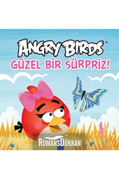 Altın Kitaplar Angry Birds Güzel Bir Sürpiz