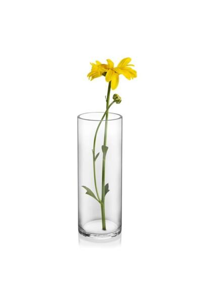 GLASSY Silindir Cam Vazo ( 10 Cm Çap 30 Cm Yükseklik )