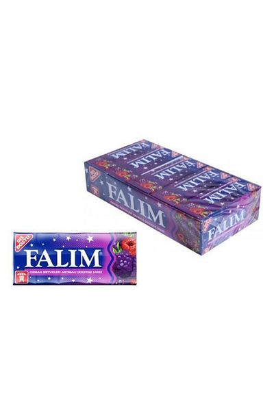 Falım Forest Fruit Chewing Gum - Set of 5 7 Gr (20 Pieces)