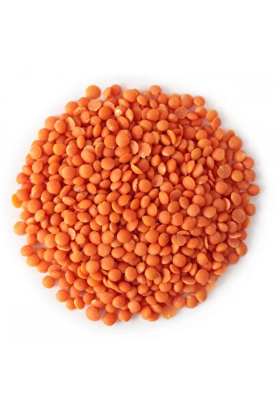 Antep Doğal Gıda Pazarı Organik Kırmızı Mercimek 1 Kg