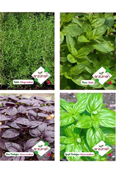 Karahasanoğlu Tarım Kekik - Nane - Mor Fesleğen - Yeşil Fesleğen 4'lü Tohum Seti