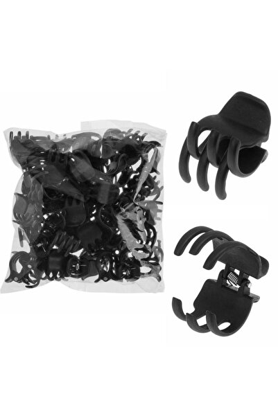 LAUREL DREAM مشبك مزلاج صغير 100 بوصة (1.5 سم)