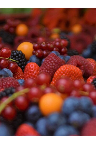 Pfanner Meyve Suyu B+c+e Orman Meyveli 2 Lt