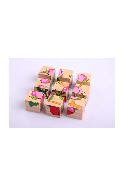 Learning Toys Wooden Puzzle Cubes