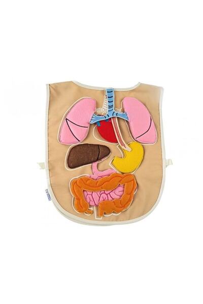 Montessori مريلة الجهاز القماشية (الانفصال والتركيب)