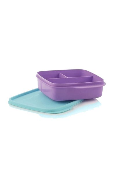 Tupperware Compartmented Lunch Box
