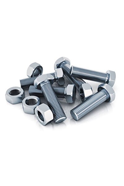 EMİRHANNALBUR Somunlu Civata / Civata 8 X 20 Mm. Somunları Ile Birlikte/ 13 N...