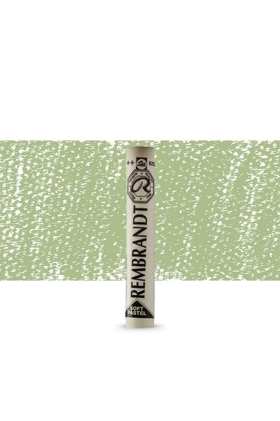 Rembrandt Soft Pastel Paint Olive Green 620.10