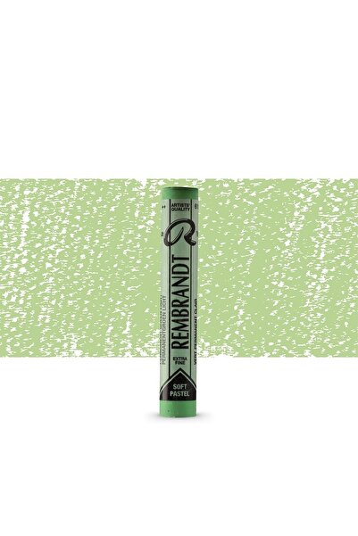 Rembrandt Soft Pastel Paint Permanent Green Light 618.8