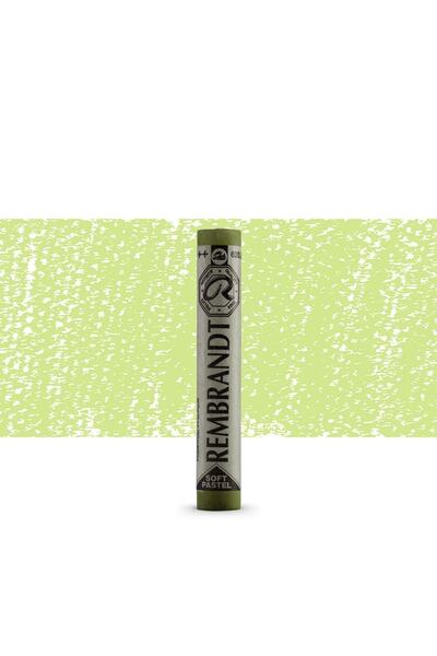 Rembrandt Soft Pastel Paint Olive Green 620.8