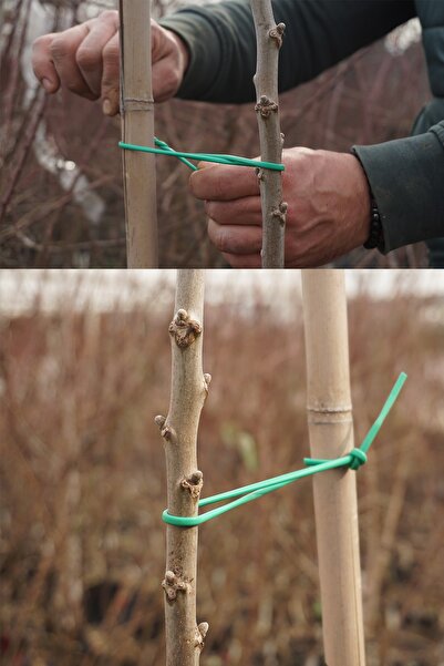 Arel Tarım Fidan Bağlama Ipi (5kg) 3mm