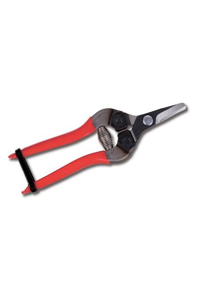 Ars 310 Fruit Picking Scissors Curved Mouth