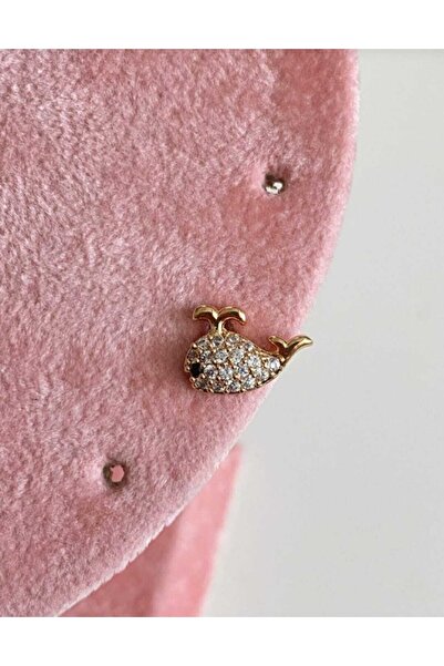 SU PERİSİ TAKI BİJUTERİ Gold Balina Tragus Piercing