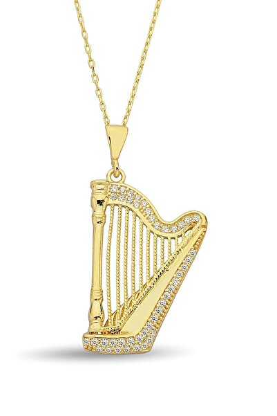 Argentum Concept 18k Altın Kaplamalı 925 Ayar Gümüş Arp Kolye - 23174102