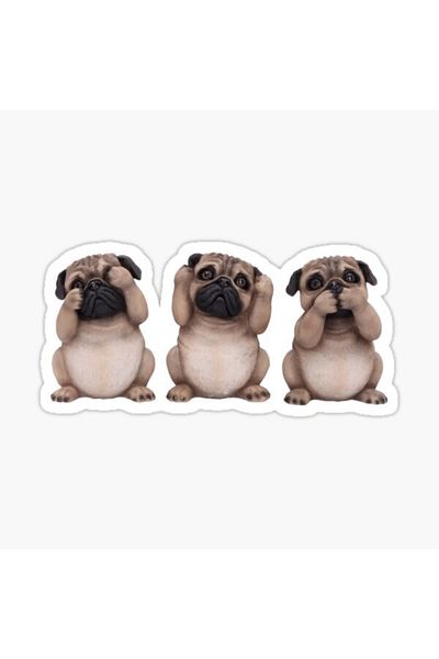 TSC Autocolant Pug Rasa De Câine Puppy Auto 17cm A1