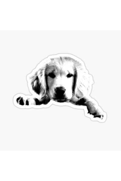 TSC Autocolant Golden Puppy Dog Auto Auto Pastă 17cm A5