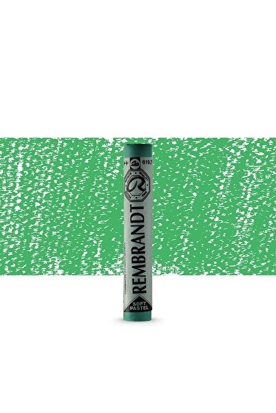 Rembrandt Soft Pastel Paint Permanent Green Deep 619.7