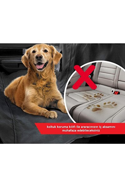 Ankaflex Araba Evcil Hayvan Kılıfı Taşıma Koltuk Örtüsü Havuzu Araç Kedi Köpe...