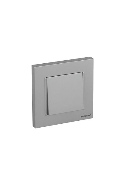 Netelsan Matte Silver Single Switch
