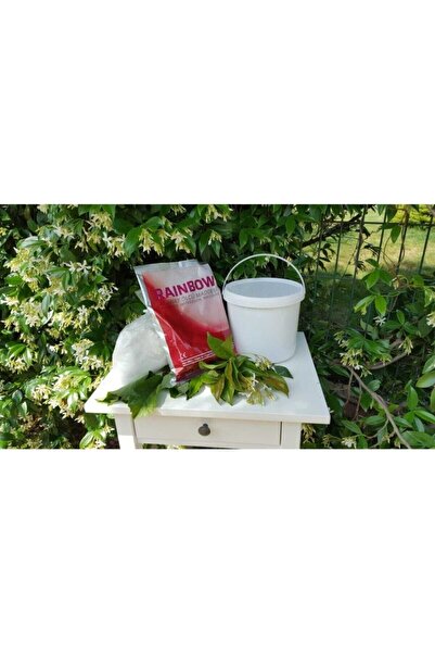 Status Aljinat Tozu Ile El Ele 3d Heykel Kalıbı Alma Full Seti Ten Rengi Akrilik Boyalı