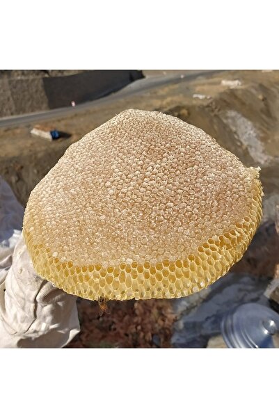 BİNBAL Karakovan Kaya Balı 1,5 Kg