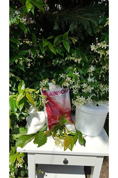 Status Aljinat Tozu Ile El Ele 3d Heykel Kalıbı Alma Full Seti Ten Rengi Akrilik Boyalı