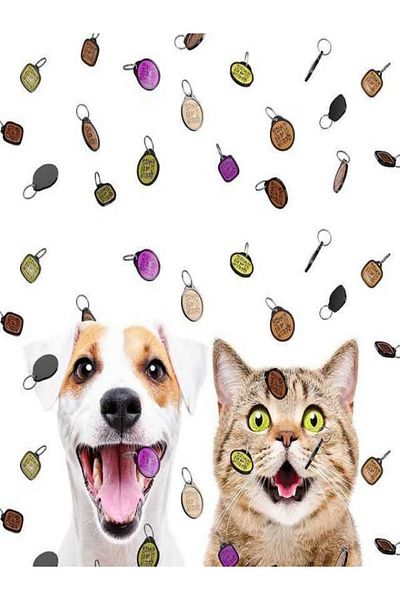 hevipet Digital Pet Id
