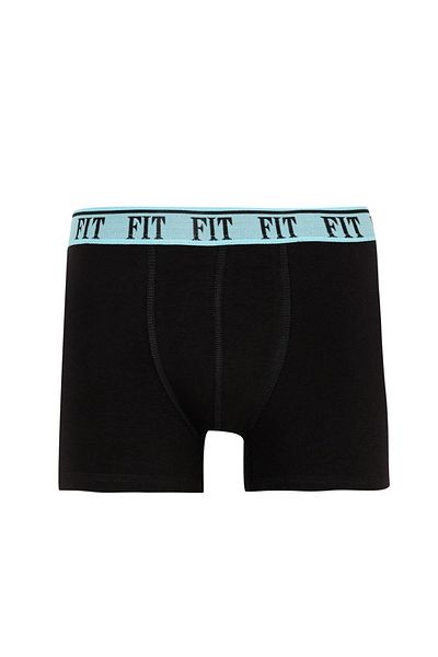 DeFacto Regular Fit 3-pack Boxer