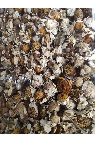 NATURELDOGA 100 Gr Chamomile Tea