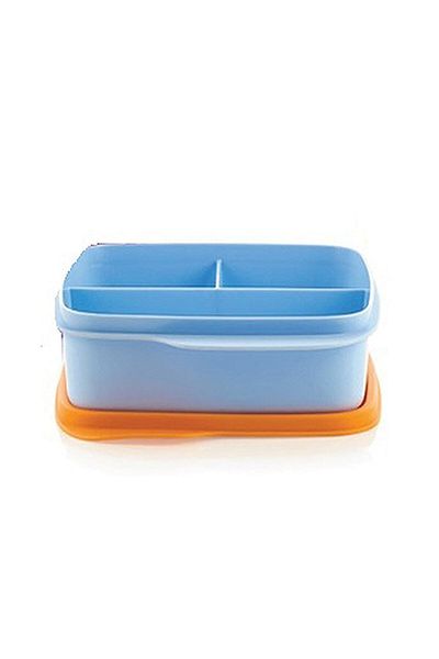 Tupperware Compartmented Lunch Box 550 Ml