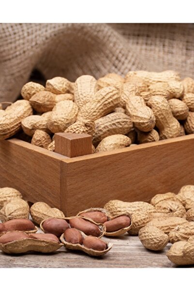 Genel Markalar Kabuklu Fıstık 500gr.