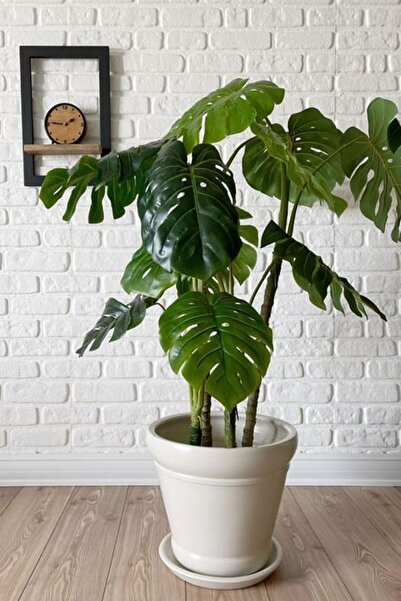 odka 20litre Italyan Saksı Tabaklı Yükseklik:30cm Çap:32cm Ekru Renk